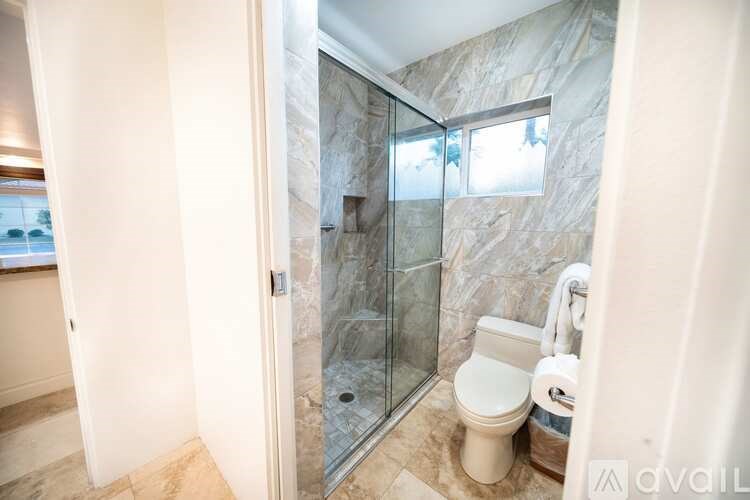 A bathroom with a walk-in shower and a toilet.