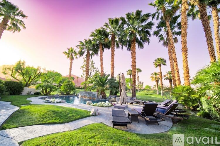A beautiful outdoor area with palm trees and a pool.