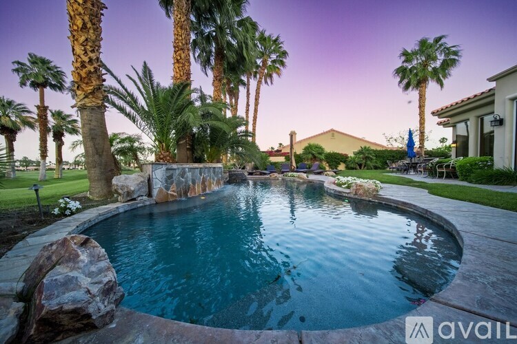 A pool surrounded by palm trees and rocks.