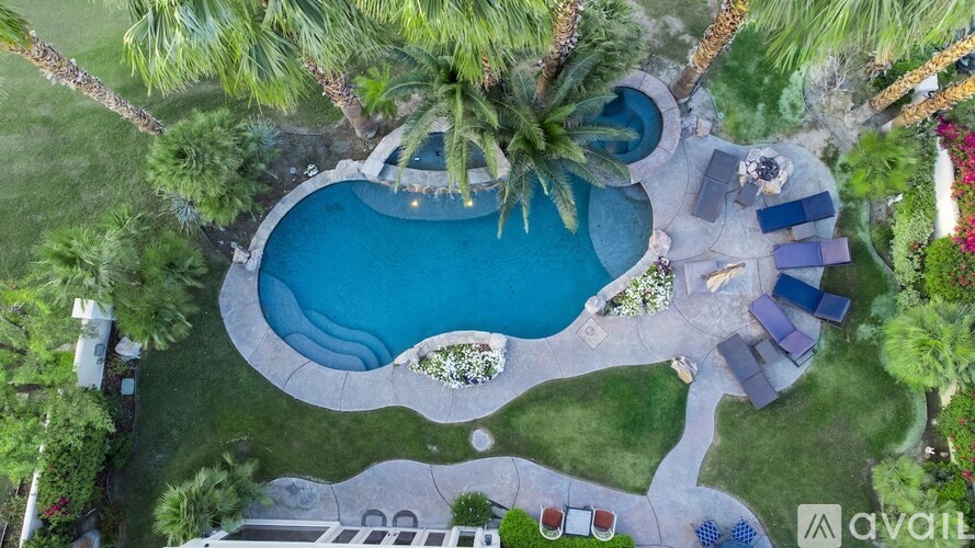A swimming pool surrounded by palm trees and a small garden.