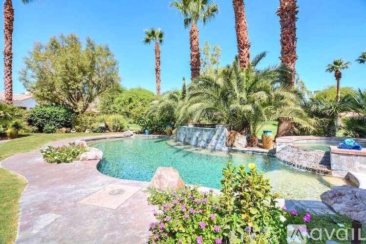A pool surrounded by palm trees and a rocky area.