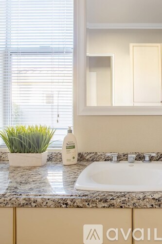 A white sink with a bottle of lotion on the counter.