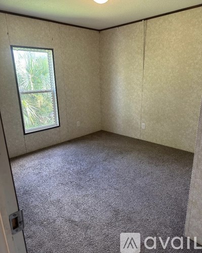 A room with a carpeted floor and a window showing trees outside.