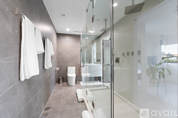 A bathroom with a walk-in shower and a toilet.