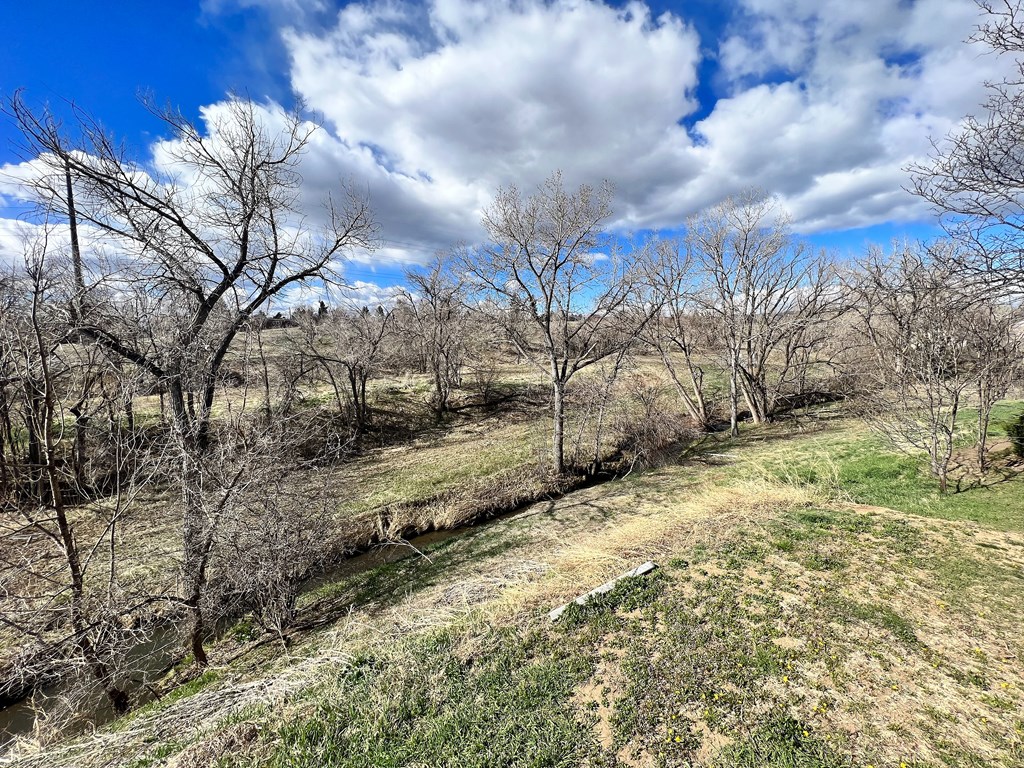 A landscape with a river and leafless trees.
