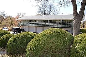 A green bush is in front of a building.