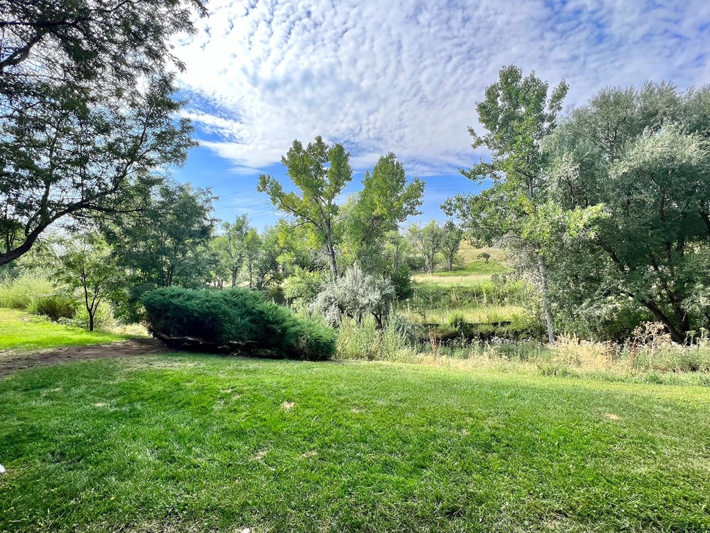 A lush green field with trees and a cloudy sky.