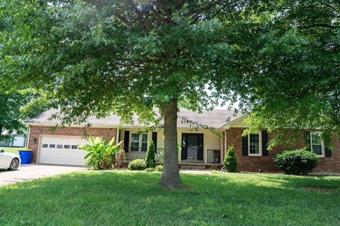 A house with a tree in front of it.