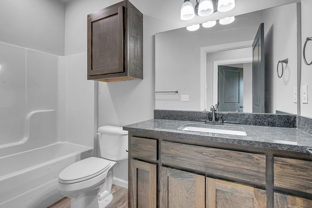 A bathroom with a white toilet and a wooden cabinet.