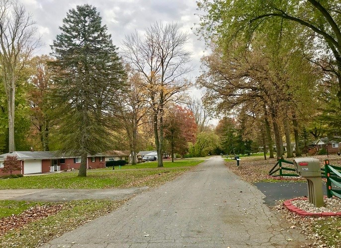 A tree-lined path in a park with a mailbox on the right.