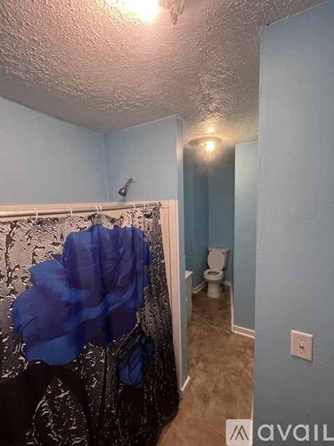 A room with blue walls and a toilet in the corner.