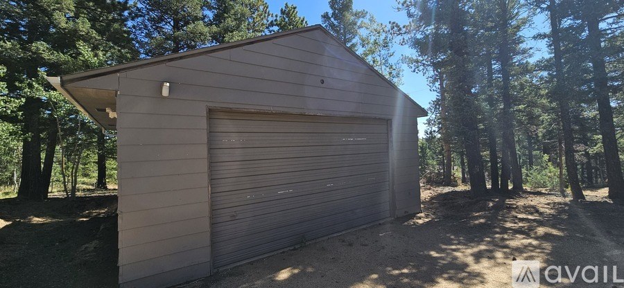 A small building with a garage door is surrounded by trees.