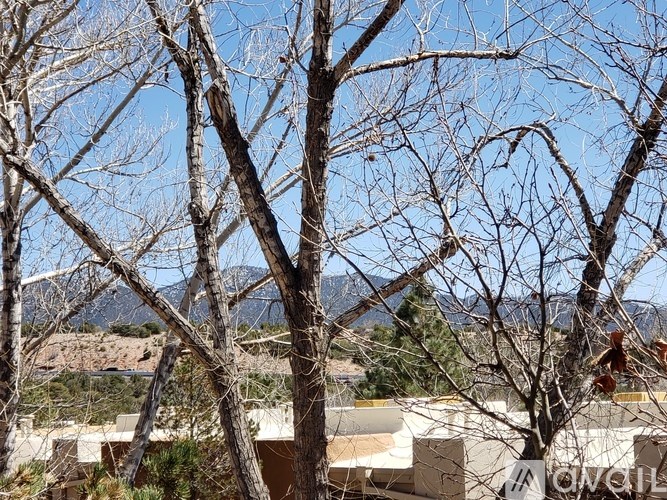 A leafless tree stands in front of a mountain and a house.
