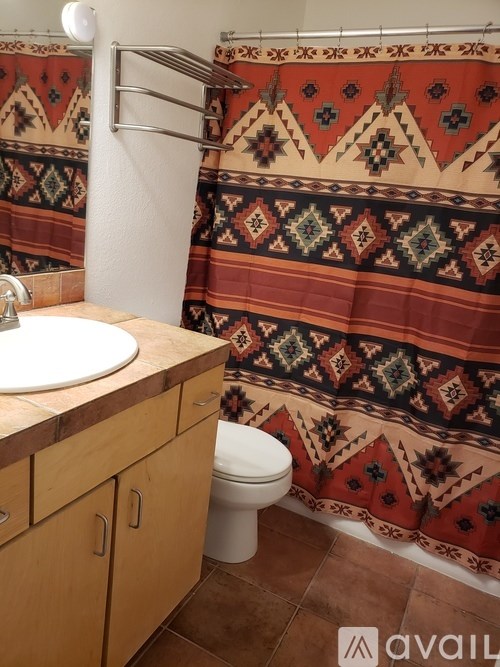 A bathroom with a toilet, sink, and a patterned shower curtain.