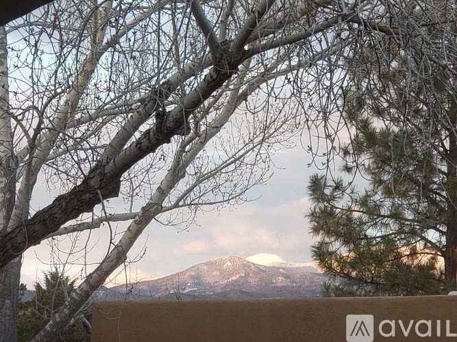 A mountain is visible through the branches of a leafless tree.