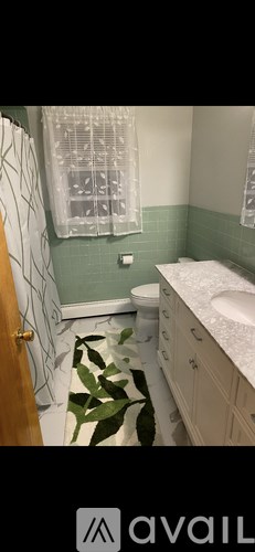 A bathroom with a toilet, sink, and a window with a curtain.