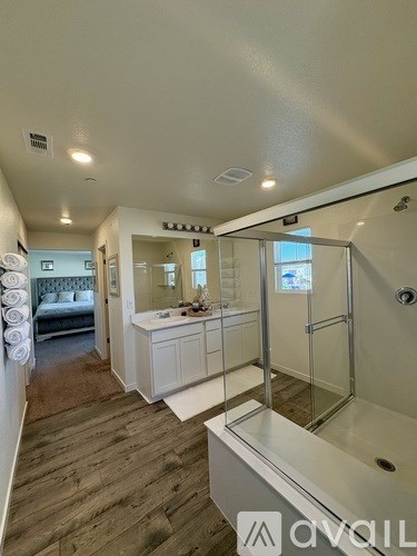 A bathroom with a walk-in shower and a vanity with a mirror.