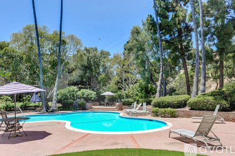 A pool surrounded by trees and lawn chairs.