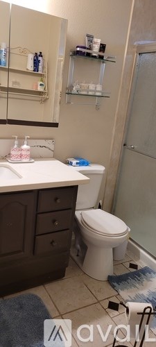 A bathroom with a toilet, sink, and shelves above the toilet.