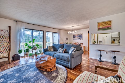 A living room with a grey couch and a rug.