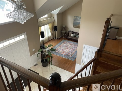 A living room with a rug and a potted plant.
