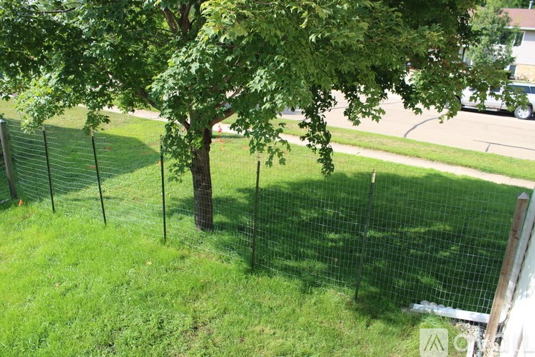 A tree is in the middle of a grassy area behind a wire fence.