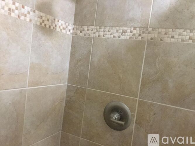A shower with a silver drain and a tile border.