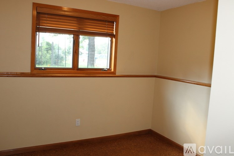 A room with a window and a wall with a white outlet.