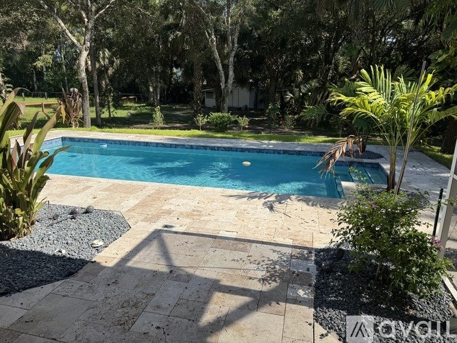 A pool surrounded by trees and plants.