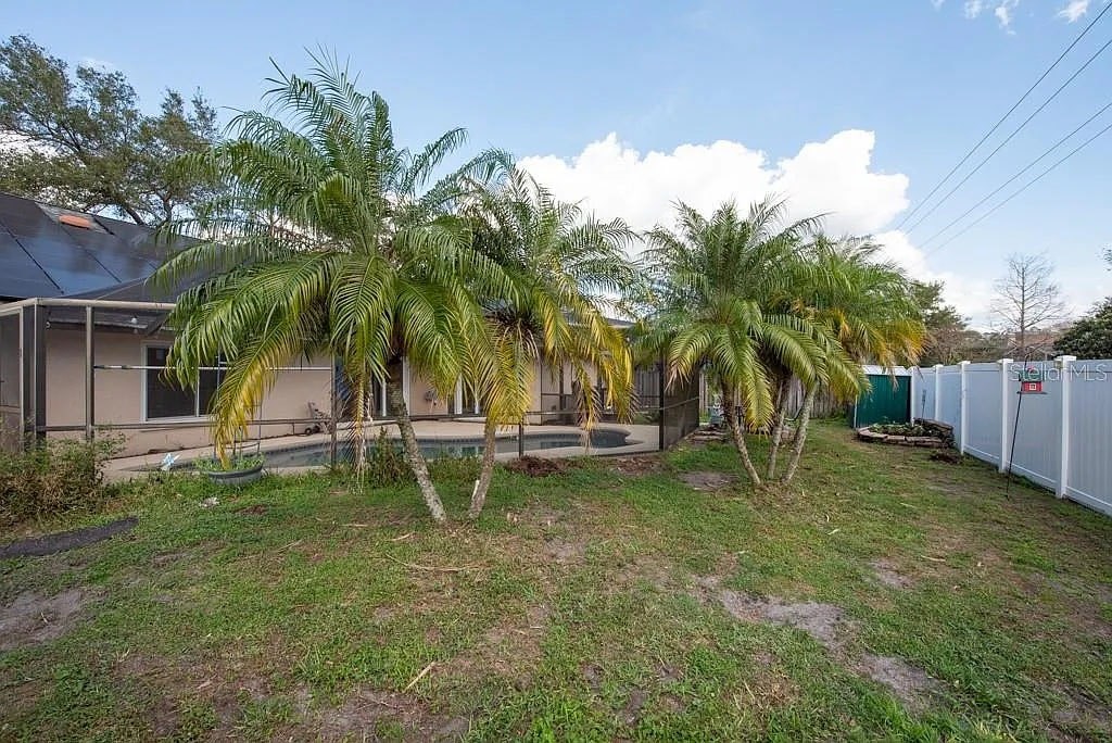 A backyard with a fence and a palm tree.