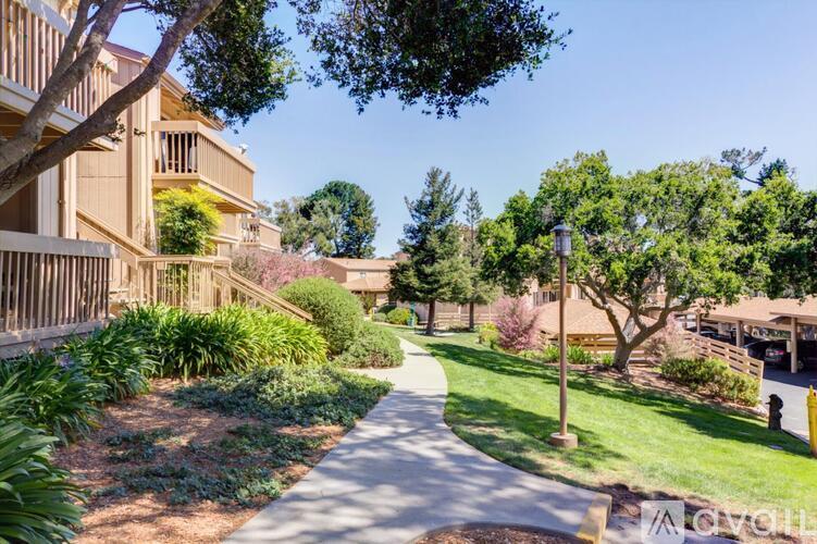 A tree-lined pathway leads to a building in a residential area.