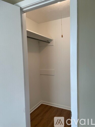 A small, white closet with a hanging rod and wooden floors.