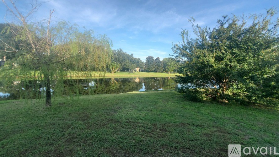 A grassy field with trees and a body of water in the distance.