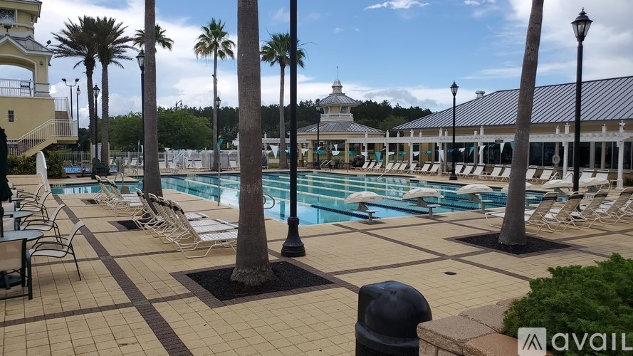 A pool area with palm trees and lounge chairs.