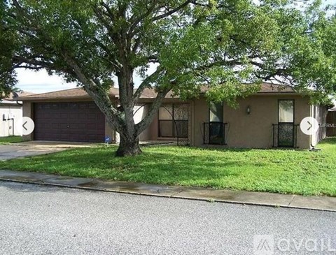 A tree in front of a house with a garage door.