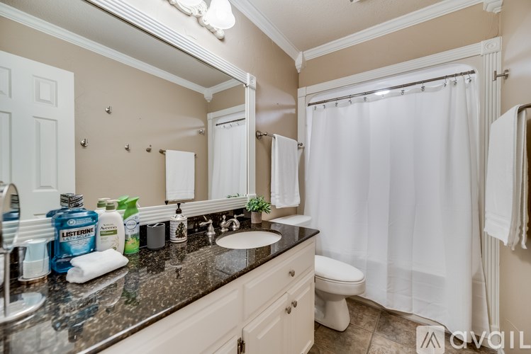 A bathroom with a sink, mirror, toilet, and shower curtain.