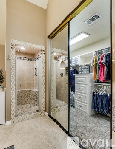 A bathroom with a walk-in shower and a mirrored closet door.
