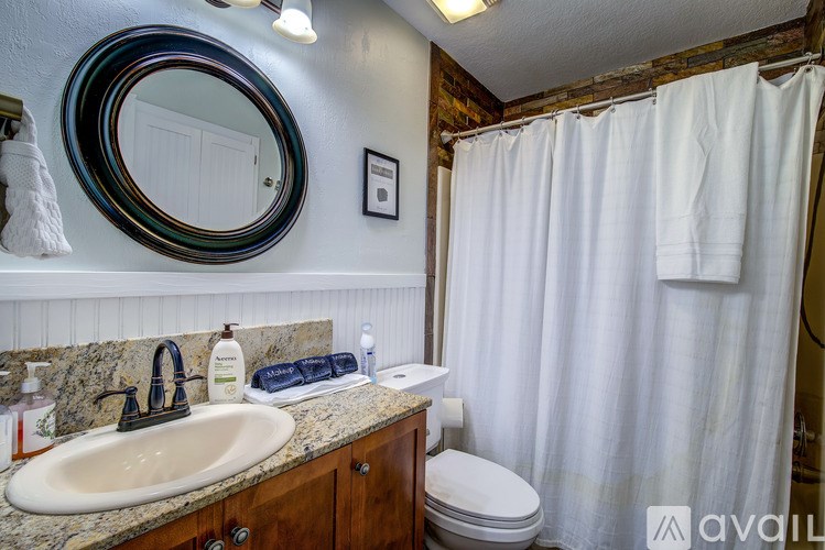 A bathroom with a sink, toilet, and shower curtain.