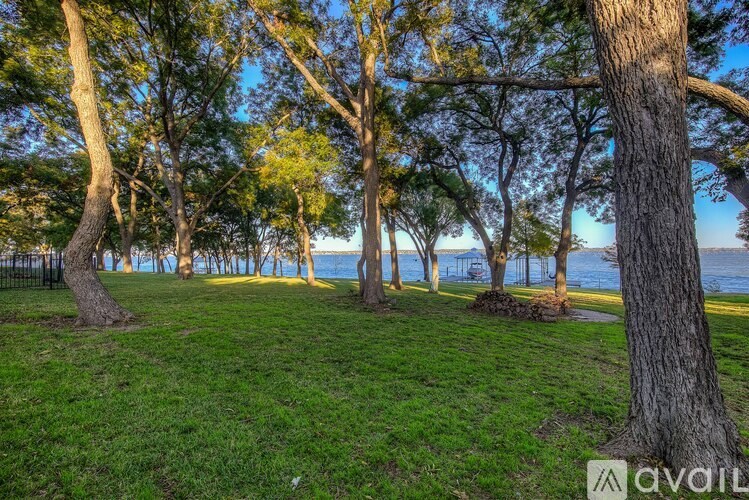 A grassy area with trees and a body of water in the distance.