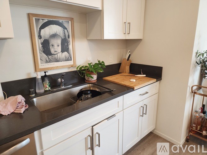 A kitchen with a sink, a counter, and a framed picture of a baby wearing headphones.