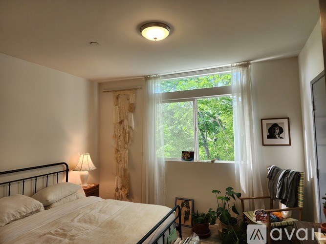 A bedroom with a bed, a window with curtains, a lamp, a potted plant, and a picture on the wall.