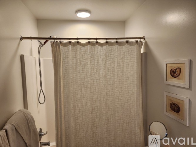 A bathroom with a shower curtain and a towel hanging on the door.