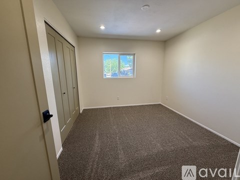 A room with a carpeted floor and a window showing a tree outside.