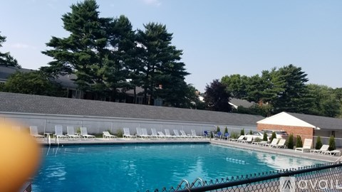 A large outdoor swimming pool with lounge chairs and trees in the background.