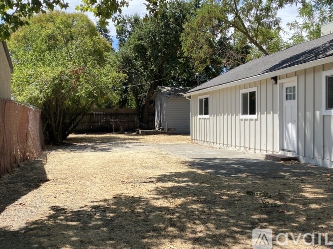 A backyard with a shed and a fence.