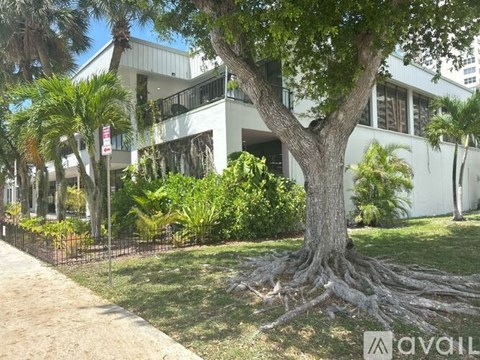 A tree with a thick trunk and a fence in front of a white building.