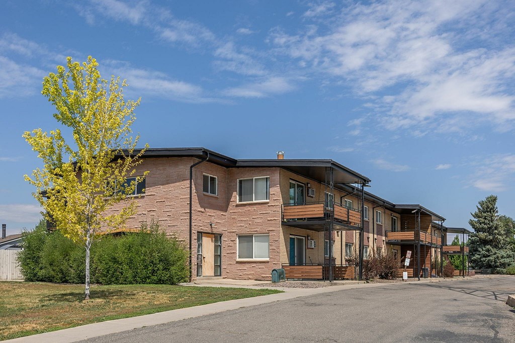 A yellow tree stands in front of a brown building.