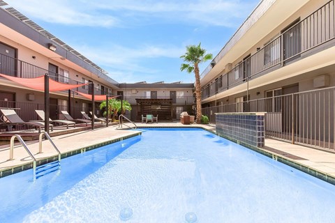 A swimming pool in a residential area with a palm tree.