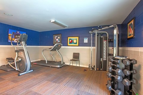 A gym with a treadmill, exercise bike, and weights.