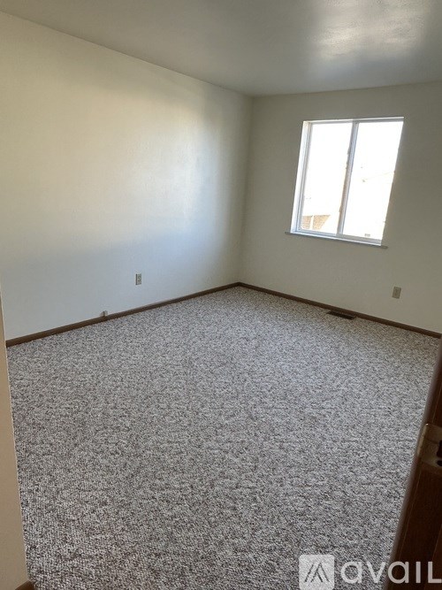 A room with a carpeted floor and a window.